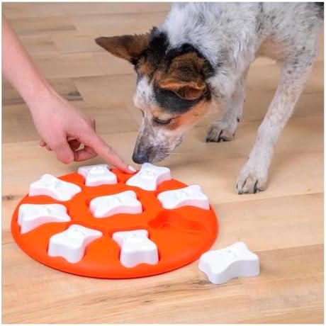 Interactive Dog and Cat Games Treat Hiding Challenge Mental Stimulation with Rewards (11 Inch Smart Game)
