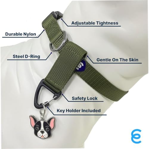 Blueberry Pet Essentials Matching Small Dog Collar & Key Holder Set | Adjustable Classic Solid Color Nylon Dog Collars for Small Dogs w/Key Holder | Military Green Dog Collar for Small Dogs