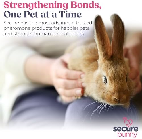 SIGNS SecureBunny Adventure