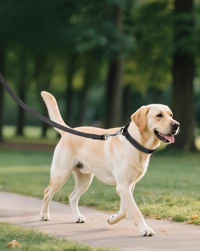 Joytale Feather-Light Dog Collar for Extra Large Dogs, 1 1/4", Black