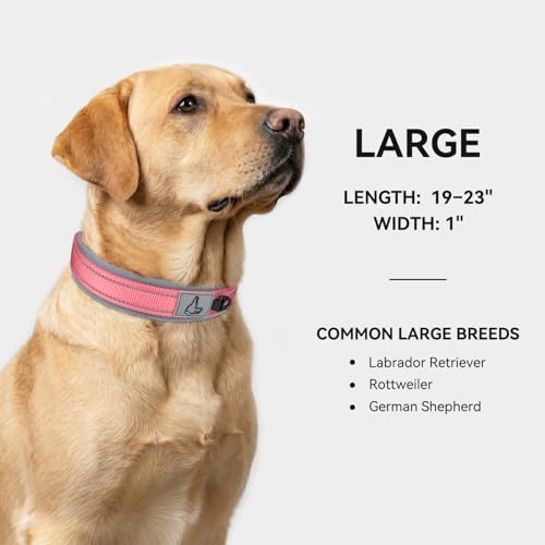 Joytale Reflective Dog Collar for Large Dogs with Wide Padding, Pink