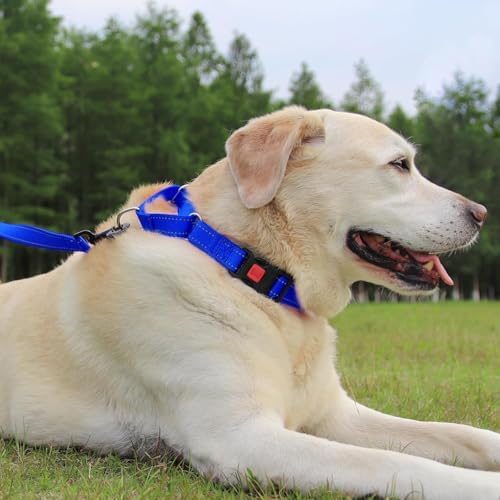 Joytale Martingale Collar for Dogs, Escape Proof No Pull, Navy Blue, S