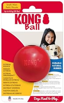 KONG Ball with Hole, Natural Rubber Fetch Toy, Red, for Small Dogs | KONG Durable Natural Rubber Fetch Ball with a Hole, Great for Training & Interactive Playtime with Your Dog