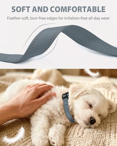 Joytale Feather-Light Dog Collar for Small Dogs & Puppies, 5/8", Gray