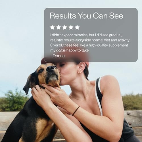Maev Freeze Dried Beef Liver Dog Treats | 100% USDA Certified | Raw, Single-Ingredient | Healthy, Human-Grade Dog Snacks | Perfect for Training & Sensitive Diets (Pack of 3)