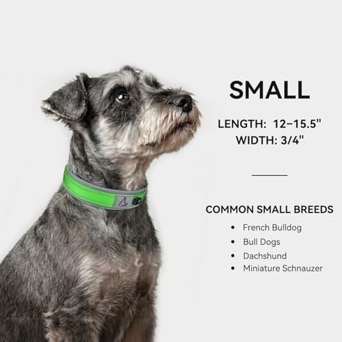 Joytale Reflective Dog Collar for Small Dogs with Wide Padding, Green
