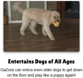 Interactive Dog Toy (Tank the Turkey), Motion Activated Bouncing Talking Pet Toy, Exercise and Entertainment for Dogs and Puppies