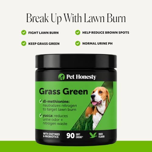 Grass Green Dog Urine Neutralizer for Lawns - Stops Yellow Burn Spots & Brown Grass - Lawn Saver Supplement with dl-Methionine, Probiotics & Digestive Enzymes - Green Grass Chews (Duck, 90 Ct)