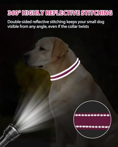 Joytale Feather-Light Dog Collar for Medium & Large Dogs, 1", Hotpink