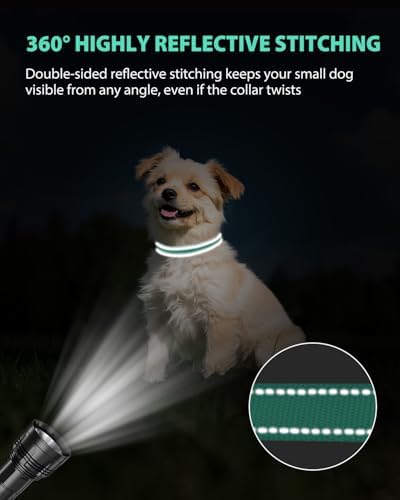 Joytale Feather-Light Dog Collar for Small Dogs & Puppies, 5/8", Turquoise
