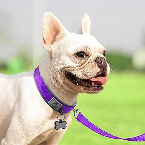 Joytale Reflective Dog Collar for Small Dogs with Wide Padding, Purple