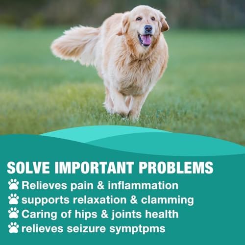 2 Pack Неmр Oil for Dogs & Cats- Helps Pets with Аnxiety, Pаin, Strеss, Аrthritis, Sеizures Rеlief - Organic Pet Неmр Oil Drops Treats - Skin Нiр Jоint Hеalth