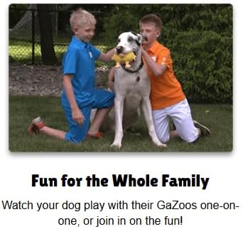 Interactive Dog Toy (Tank the Turkey), Motion Activated Bouncing Talking Pet Toy, Exercise and Entertainment for Dogs and Puppies