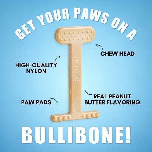 Bullibone Nylon Dog Chew Toy for Aggressive Chewers - Dental Hygiene Bone with Peanut Butter Flavor, Durable Tough Chew Toys for Small Dogs, Indestructible Dog Bone - Single