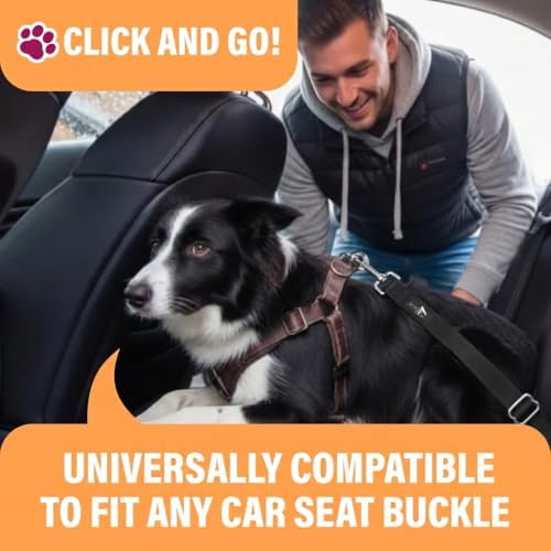 Active Pets Car Seat Belt for Dogs - Black, 18-24in