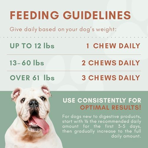 Dog Probiotics with Prebiotics, Digestive Enzymes, Pumpkin Fiber & Colostrum, Daily Gut Health Support for Diarrhea, Gas & Bloating, Six-Strain Probiotic Blend, 60 Beef Flavor Chews