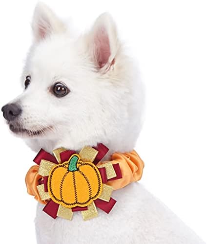 Blueberry Pet Thanksgiving Collar Bundle Set - Small Pumpkin and Acorn Collar + Pumpkin Collar Cover