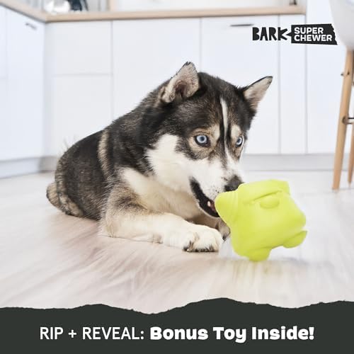 BarkBox Torbert The Troll Dog Toy - for Large Dogs | Natural Rubber with Wacky Bounce Perfect for Aggressive Chewers and Long-Lasting Playtime