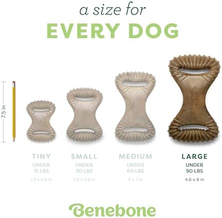Benebone Dental Durable Dog Chew Toy for Aggressive Chewers, Real Bacon, Made in USA, Large