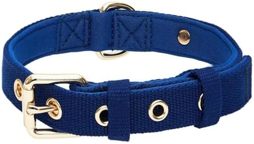Blueberry Pet New Classic Modern Iconic Neoprene Padded Dog Collar Indigo Blue/Small