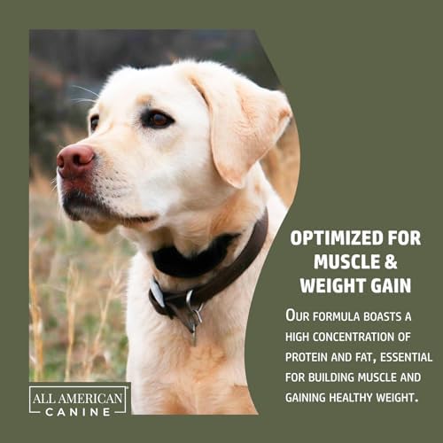 All American Canine Dog Weight Gainer + Digestive Aid, 60 Servings