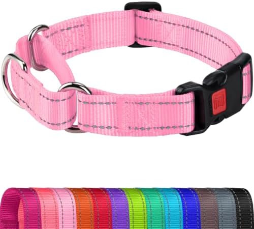 Joytale Martingale Collar for Dogs, Escape Proof No Pull, Pink, L