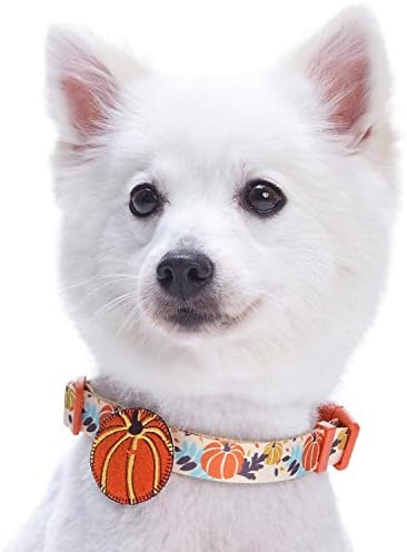 Blueberry Pet 8 Patterns Thanksgiving Fall Harvest Festival Pumpkin Designer Adjustable Dog Collar with Decoration, Large, Neck 18"-26"