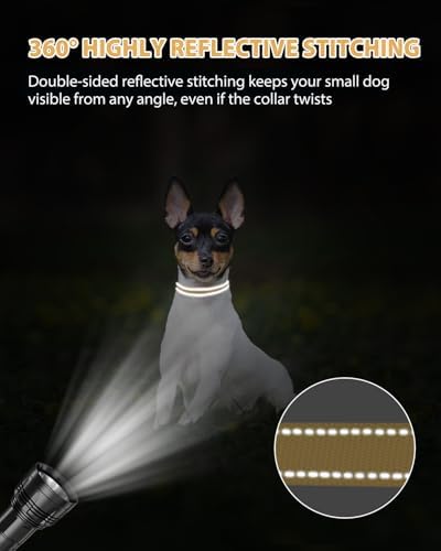 Joytale Feather-Light Puppy Collar for Extra Small Dogs, 3/8", Khaki