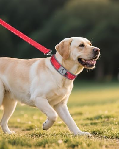 Joytale Reflective Dog Collar for Large Dogs with Wide Padding, Red