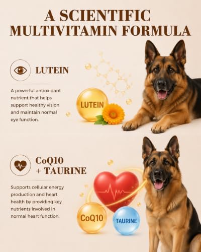 Dog Multivitamin Soft Chews: 5-in-1 Formula with CoQ10, Omega-3 and Lutein | 26 Essential Nutrients to Support Skin & Coat, Heart, Eye, Digestive Health & Daily Nutrition, Chicken Flavor
