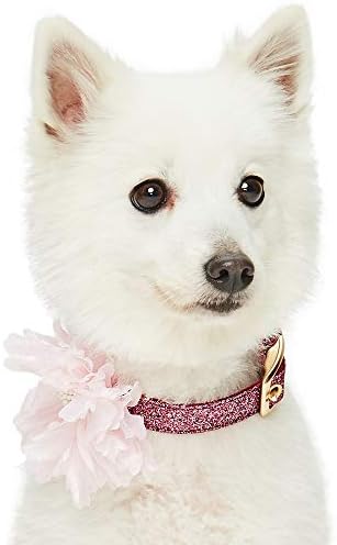 Blueberry Pet The Most Coveted Holo Glitter Dog Collar with Flower