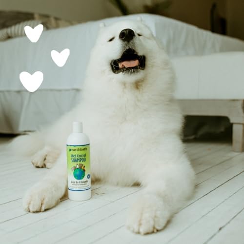 earthbath Green Tea & Awapuhi Shed Control Dog Shampoo, 16 Oz (1 Set) | Cruelty Free Dog Shampoo, Helps Relieve Shedding & Dander, Made in USA, Dog Bathing Supplies