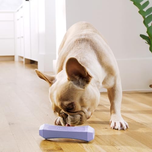 Playology Squeaky Chew Stick - Scented Dog Toy - Medium, Lamb Scent | Rubber Construction, All Natural Scent, Durable Design