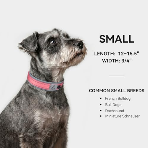 Joytale Reflective Dog Collar for Small Dogs with Wide Padding, Pink