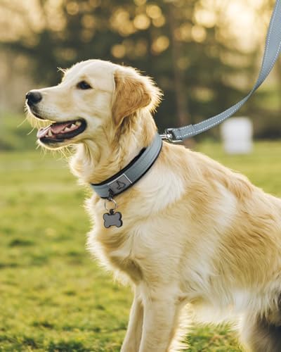 Joytale Reflective Dog Collar for Large Dogs with Wide Padding, Gray