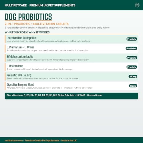 Probiotics for Dogs – 5-Strain 2 Billion CFU + Digestive Enzymes & Prebiotics | Gut Health, Firm Stools, Less Gas & Bloating | Full B-Complex Vitamins in One Tablet | Chicken Flavor | UK GMP | 120 Ct