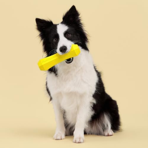 Playology Squeaky Chew Stick - Scented Dog Toy - Jumbo, Chicken Scent | Rubber Construction, All Natural Scent, Durable Design