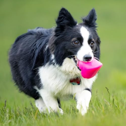 Ruff Dawg Indestructible Dawg-Hart (Heart) Medium 3” – Heavy-Duty Solid Rubber Dog Fetch Toy for Dogs Under 40 lbs – Floats & Crazy Bounce – Made in USA – Assorted Neon Colors