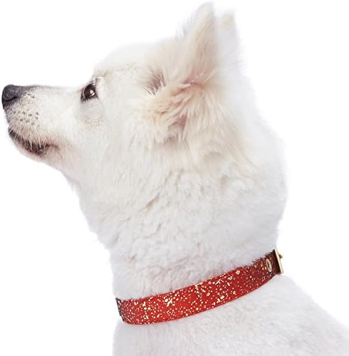 Blueberry Pet Gold Stamping Lace Adjustable Dog Collar in True Red, Neck 13-16.5", for Medium Breed