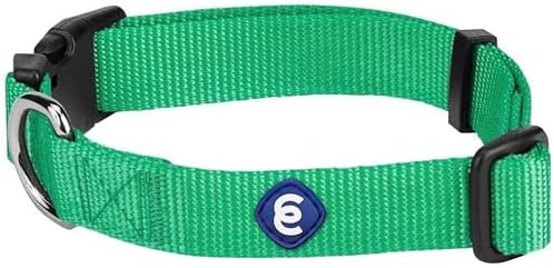 Blueberry Pet Essentials Medium Dog Collar in Emerald | Adjustable & Eco-Friendly Durable Nylon Strap | Classic Collar for Medium Dogs, Boy & Girl Pets