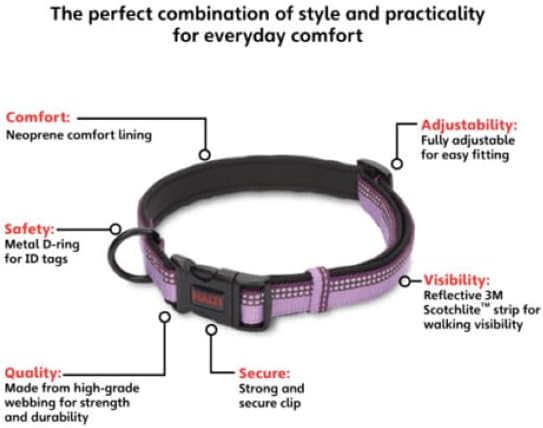 Halti Dog Collar | Size L, Purple
