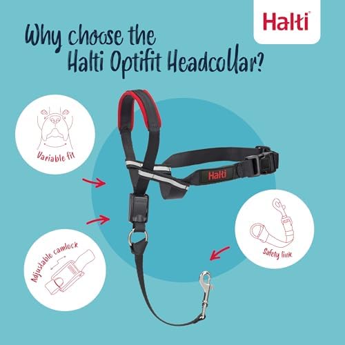 Halti Optifit Headcollar (Size M) & Training Leash (Size L, Black) Bundle