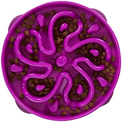 Outward Hound Fun Feeder Slo Bowl, Slow Feeder Dog Bowl, Large/Regular, Purple & Orange