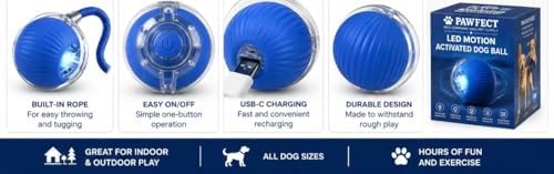 Interactive cat Toy Ball Chaser led recharable USB (Blue)