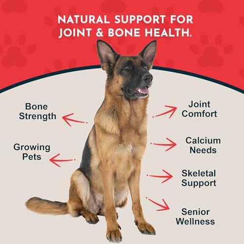 Animal Essentials Seaweed Calcium Supplement for Dogs & Cats, 12 oz (2-Pack), Iceland Seaweed Magnesium, Boron, Zinc
