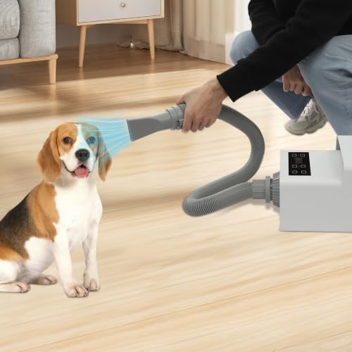 Pet Grooming Hair Dryer 1900W Negative Ion Low Noise Adjustable Speed Temperature for Dogs Cats Home Salon