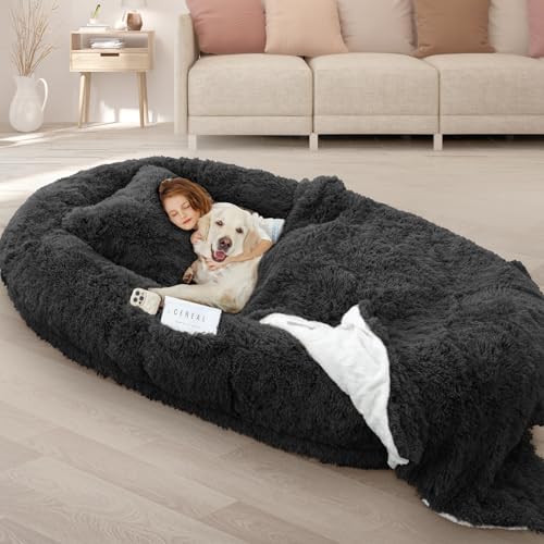 ROOMTEC Human Dog Bed, 71''x45''x12'' Size Fits Adult Pet Washable Oversize People Bed 10 CM Thick Memory Foam Large Giant Pet Bed with Plump Pillow, Blanket, Strap - Black