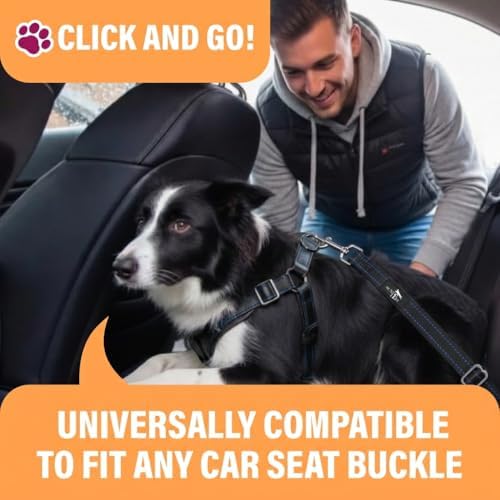 Active Pets Car Seat Belt for Dogs - Blue, 18-24in