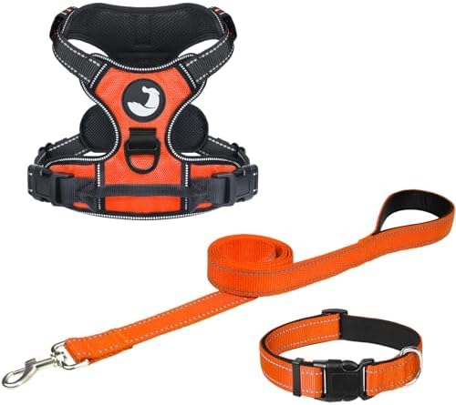 Joytale Dog Harness (Chest: 12-21"), Dog Collar and 6FT x 3/4" Wide Dog Leash Set, Reflective Padded Nylon Collar and Leash, Adjustable Soft Harness with Handle for Dogs
