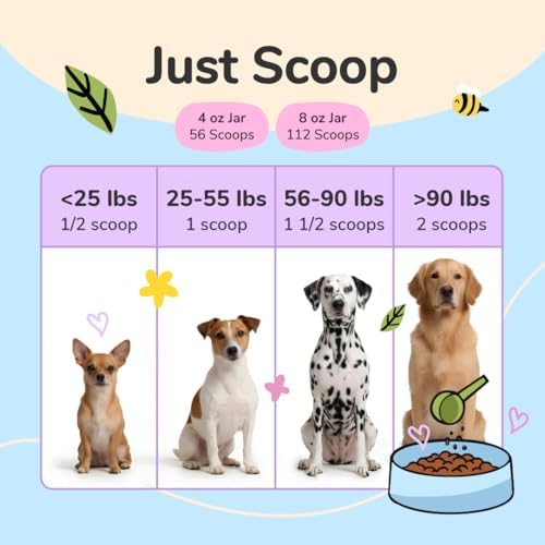 kin+kind Healthy Poops – USDA Organic Pumpkin Powder for Dogs and Cats – Prebiotic Pumpkin Powder, Supports Probiotic Activity – 8 oz